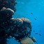 Image result for Underwater iPhone 6s Wallpaper