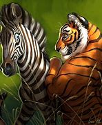Image result for Zebra and Tiger