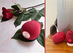 Image result for How to Charge Rose Toy without Charger