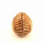 Image result for Aduklt Brazilian Three Band Armadillo Rolled Up