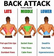 Image result for Most Effective Back Exercises