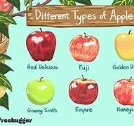 Image result for Types of Apple's List and Pictures