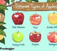 Image result for All Types of Apples