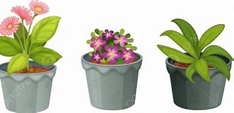 Image result for Plants Combine with Object