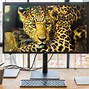 Image result for Large 4K Monitor