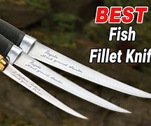 Image result for Best Battery Fillet Knife for Fish
