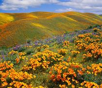 Image result for California Places