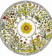 Image result for Cards with Flowers and Clocks