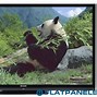 Image result for 70 inch Sharp TV