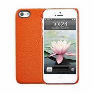 Image result for Iphonr 5S Cactus Case