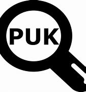 Image result for Puk Coe