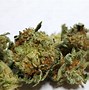 Image result for Lemon OG Kush Strain