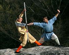 Image result for Shaolin Monks Kung Fu
