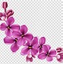 Image result for Cartoon Basket of Flowers Pink and Purple