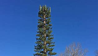 Image result for 5G Cell Tower Tree