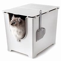 Image result for Cat Litter Box Enclosure for Multiple Cats