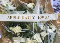 Image result for Rip Off Apple Store China