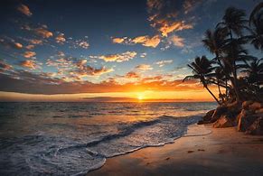 Image result for Sandy Beach in Morning