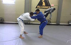 Image result for Brazilian Jiu Jitsu Stance