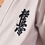 Image result for Kyokushin Karate GI