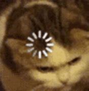 Image result for Cat Loading Bar Meme