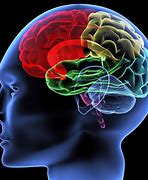 Image result for How Much of Your Brain Do You Use After N Trepenation