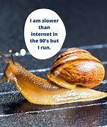 Image result for Green Snail Meme