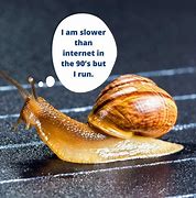 Image result for Skid Mark Snail Meme