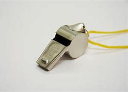 Image result for Whistleblower Icon for PPT