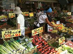 Image result for Japanese Local Produce