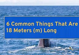 Image result for 18 Meters Compare to Things