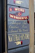 Image result for Strange and Oddities Signs