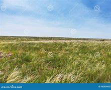 Image result for Kerch Peninsula