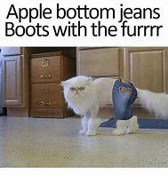 Image result for Apple Bottom Jeans Boots with Fur Crying Meme