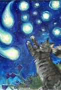 Image result for Shooting Stars Cat