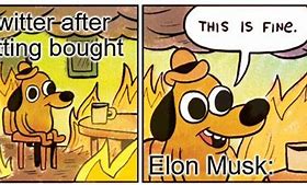 Image result for Elon Musk Meme IMG