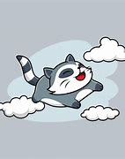 Image result for Flying Raccoon