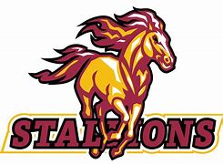Image result for Cleveland Stallions Football 216