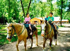 Image result for Horse Ride