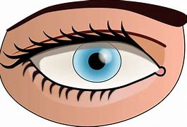 Image result for 2 Eyes Cartoon