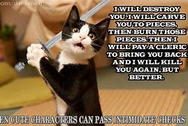 Image result for Dnd Cat Wizard Potion Meme