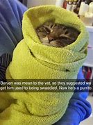 Image result for Crying Animal Meme