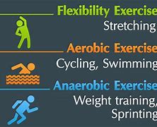 Image result for Different Exercise Types