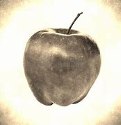 Image result for Old Apple Slice Photography