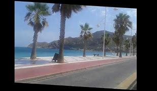 Image result for catedr�tico