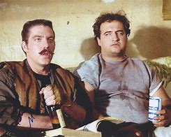 Image result for Bruce McGill Animal House