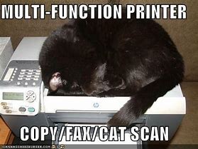 Image result for Full Cat Meme Printer