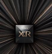 Image result for Sony Xr 100