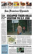 Image result for San Francisco Zoo Tiger Attacks