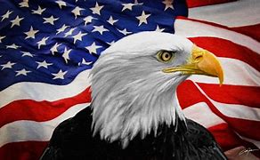 Image result for Symbols That Represent America